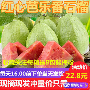 【福建水果价格】最新福建水果价格/批发报价